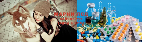 эйфоретик Володарск